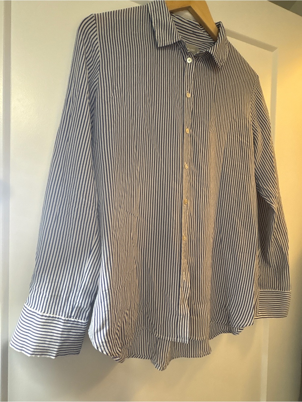 Everlane Blue and White Striped Button-Up Shirt
